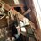 #2322-•-wall-section-of-vintage-farm-tools-image-4