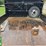 2017-ford-f350-image-9