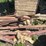 #3228-•-contents-of-shed-image-16
