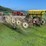 #1029-•-h&s-(12)-wheel-rake-image-6