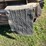 #1034-•-new-idea-manure-spreader-image-8