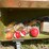 #3304-•-vintage-metal-tackle-boxes-with-contents-image-14