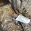 #3319-•-hydraulic-stand-on-wheels-image-10