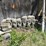 #3237-•-landscaping-bricks-image-2