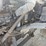 2000-sterling-lt9511-image-35