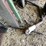 #3320-•-arbor-press-stand-image-12