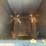 incinerator-image-6