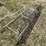 #3314-•-metal-shelf-and-trellis-image-5