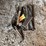 #2300-•-shop-hand-tools-image-2