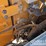 hyundai-hx235-lcr-image-54