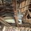 #2341-•-all-contents-in-rafters-image-14