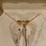 simonsen-smc1754s-image-9