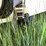 #3221-•-bayliner-capri-5.0l-boat-and-escort-trailer-(no-title)-image-43