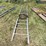 #3229-•-14'-metal-ladder-and-cable-image-2