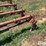 lilliston-rolling-cultivator-image-14