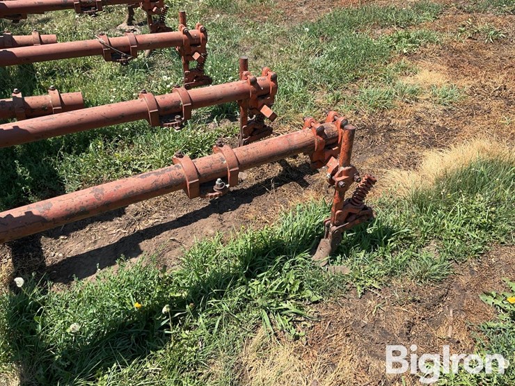 lilliston-rolling-cultivator-image-14