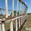 dakon-hay-feeder-wagon-image-15