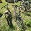 #3299-•-(2)-vintage-bikes-image-6