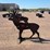 ar500-steel-deer-shooting-target-with-heart-flapper-image-3