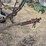 john-deere-pull-type-three-bottom-plow-image-14