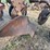 john-deere-pull-type-three-bottom-plow-image-14