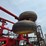 44'-sunflower-5055-44-field-cultivator-image-21