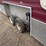 #5819-•-2004-ice-trailer-(sells-bill-of-sale)-image-12