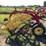 new-holland-256-image-3