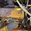 trackmobile-95tm-image-36