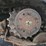 2022-jcb-3ts-8t-image-23