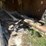 #3228-•-contents-of-shed-image-3