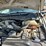 2022-ford-f550-image-33