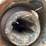 new-holland-851-image-26