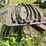 #3303-•-metal-table-and-(7)-trailer-springs-image-8