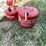 #3346-•-(2)-metal-gas-cans-image-2