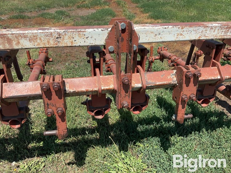 lilliston-rolling-cultivator-image-9