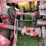 #1033-•-hew-holland-790-chopper-with-hay-head-image-27