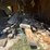 #3228-•-contents-of-shed-image-2