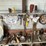 #2297-•-contents-of-workbench-image-6