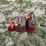 #3343-•-(3)-poly-gas-cans-image-1