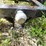 #3336-•-3-point-universal-plate-image-8