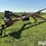 mayrath-grain-auger-w/swing-hopper-image-1