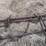 11-foot-spike-tooth-harrow-image-9