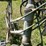 #3299-•-(2)-vintage-bikes-image-19