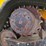 2021-jcb-3ts-8t-image-30