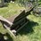 #3245-•-adirondack-wood-bench-image-7