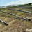 valley-8000-9-tower-pivot-image-11
