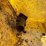 john-deere-7000-image-15