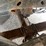 2014-ford-f150-xl-image-66