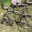 #3300-•-(2)-vintage-his-and-hers-bikes-image-5